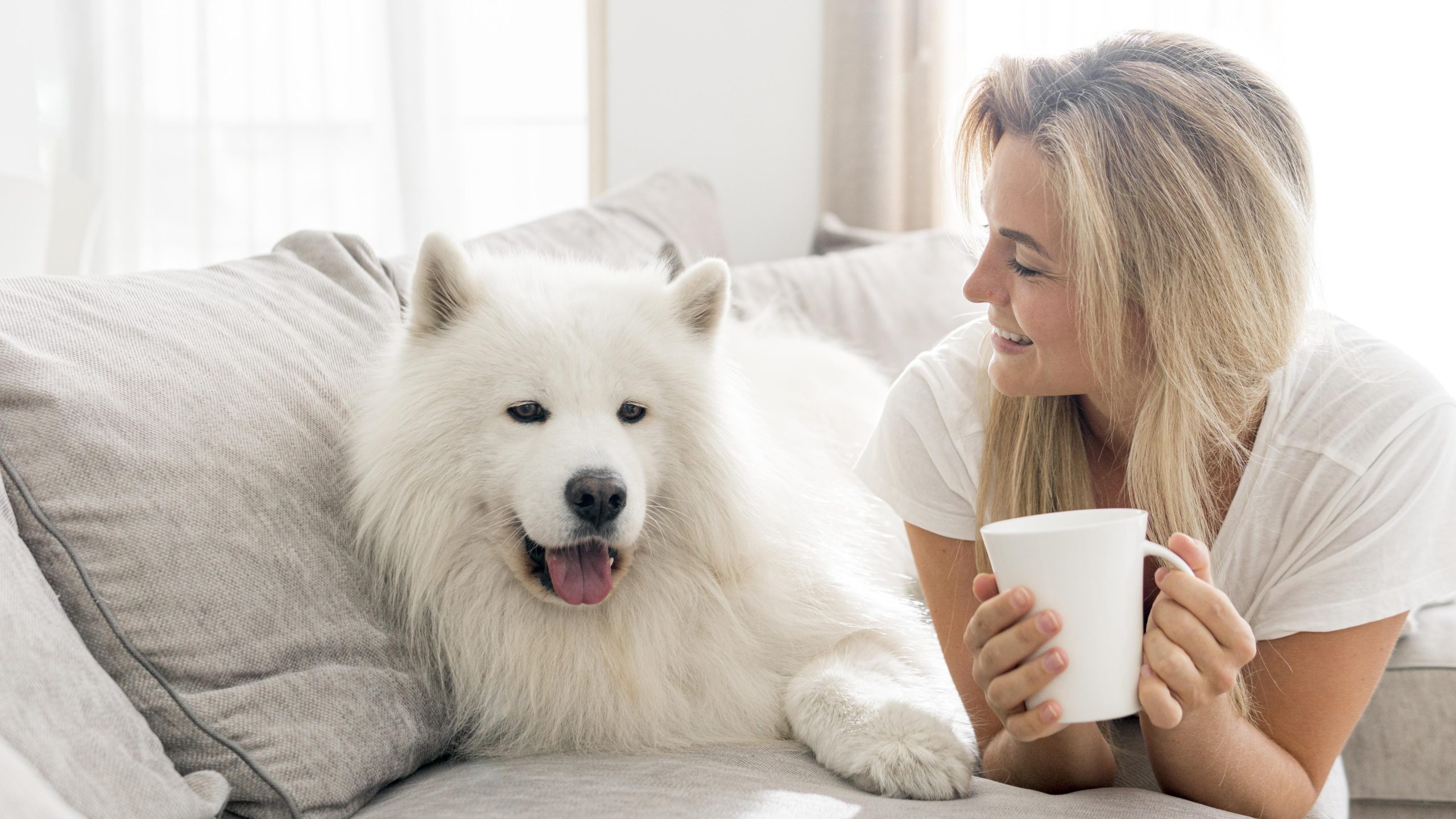 Bienestar, confort y estilo para tu mascota