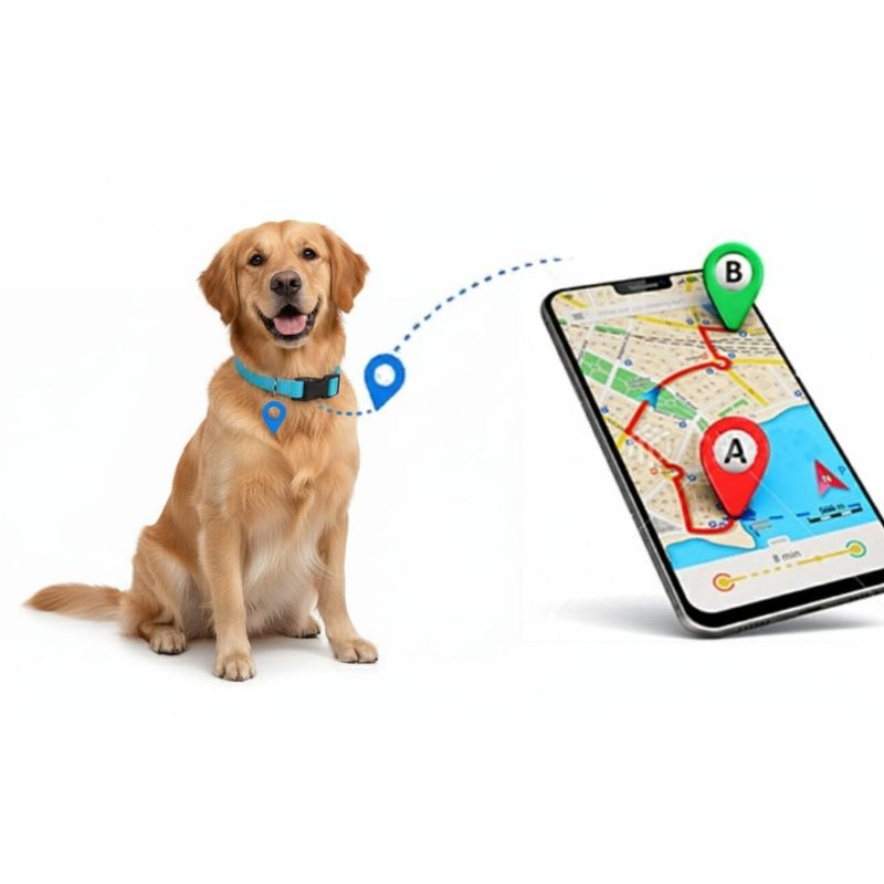 Collar con GPS de mascotas