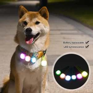 Luz para collar de mascota, perro, gato, etc. Resistente al agua